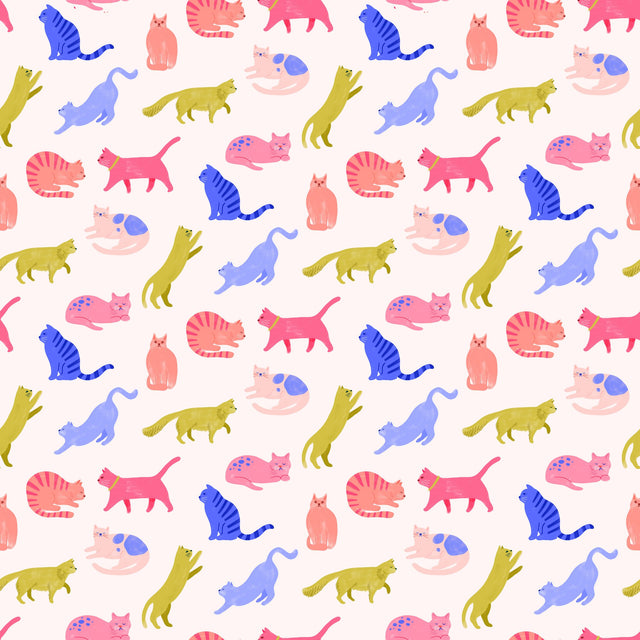 Colourful Cats — Cream