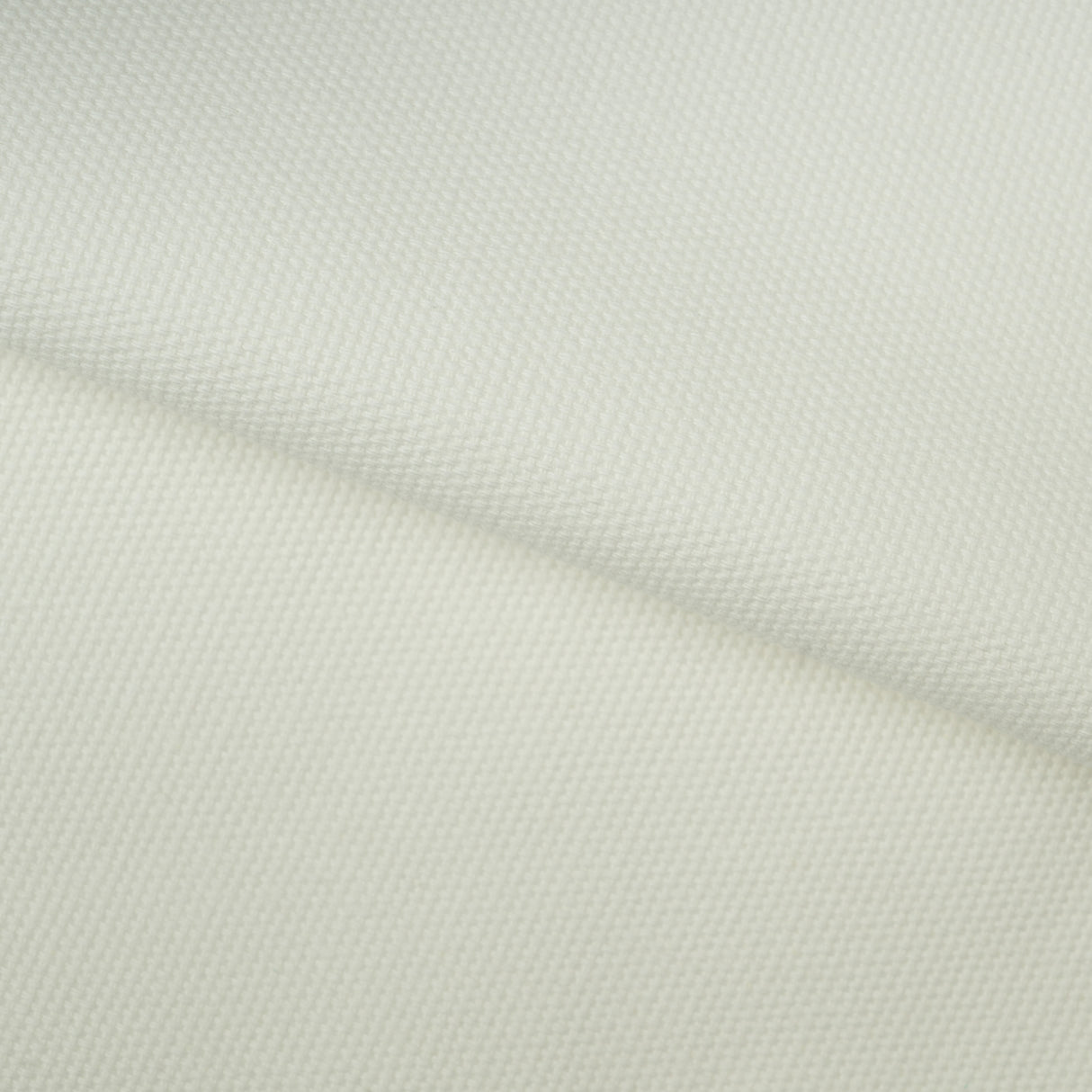 Cotton Canvas